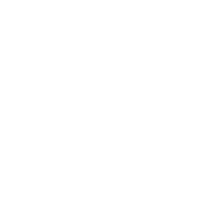 Stiftelsen Kjell Holm